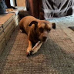 Meet your Posher, Jason